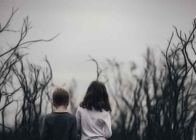 2024最新版本的器测压文章